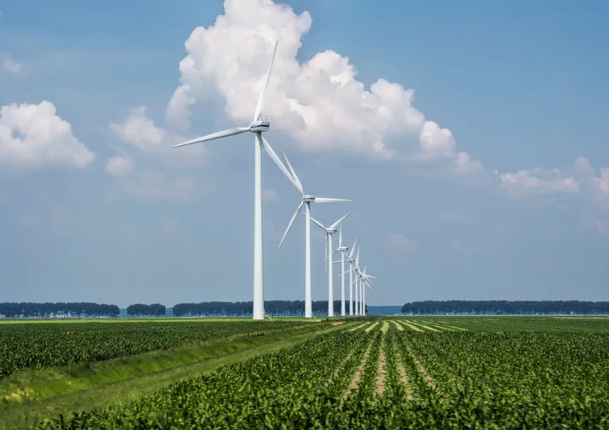 Yenilenebilir Enerji Santralleri ve Geleceğe Yatırım